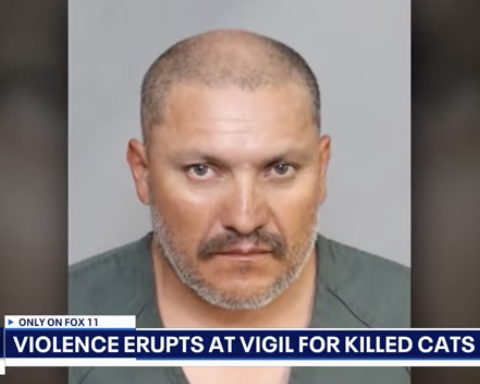 Suspected cat serial killer protested by violent mob
